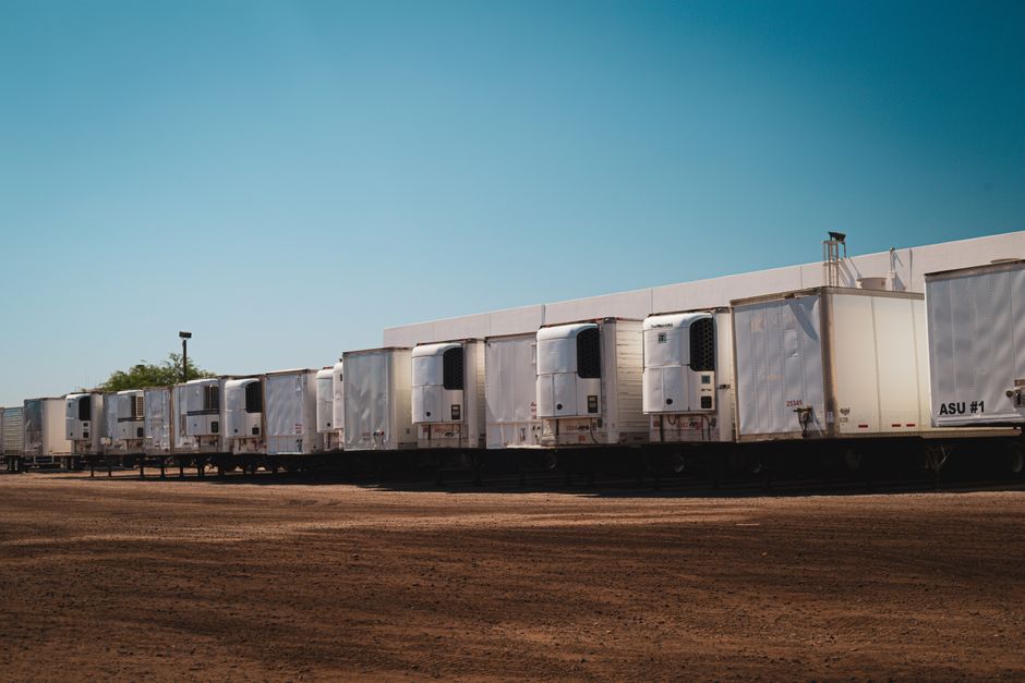 Refrigerated trucks parked in an industrial lot under a clear blue sky on a sunny day.